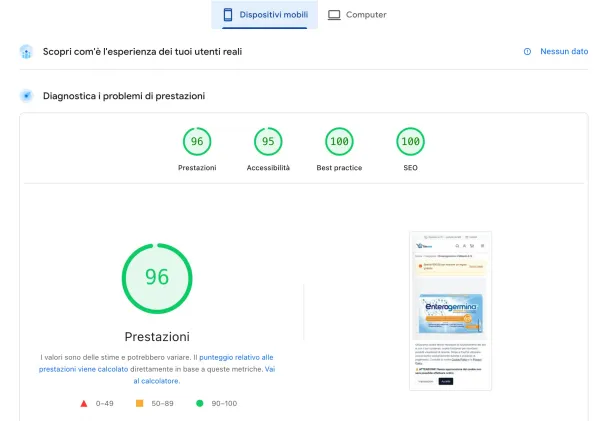 Speed Insight Mobile — Punteggio Lighthouse ottimale su mobile
